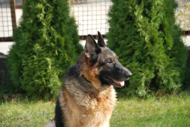 killer gostyń - biuro prasowe programu \"Pomóżmy Razem\"