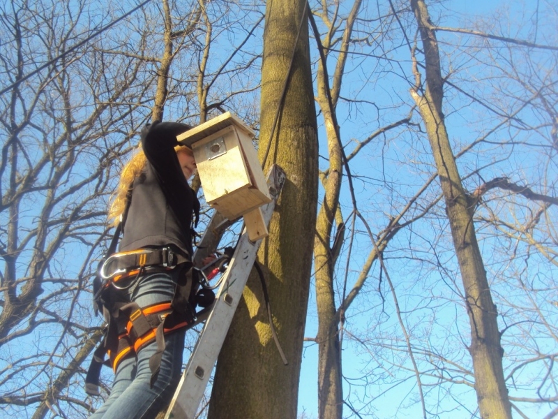 budki dla ptaków 3 - Maciej Kluczka