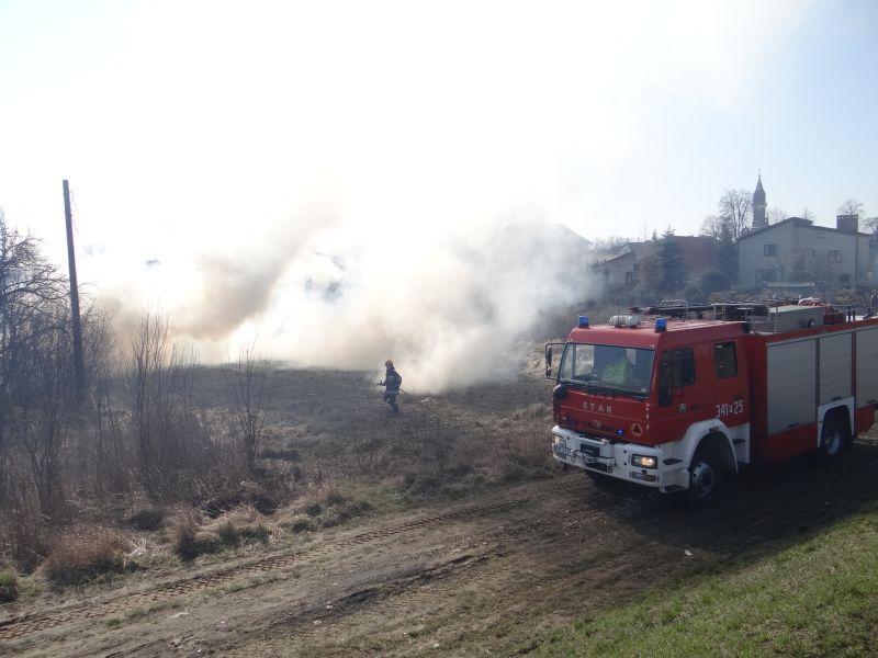 płoną trawy strażacy gaszą - Straż Pożarna/Kalisz