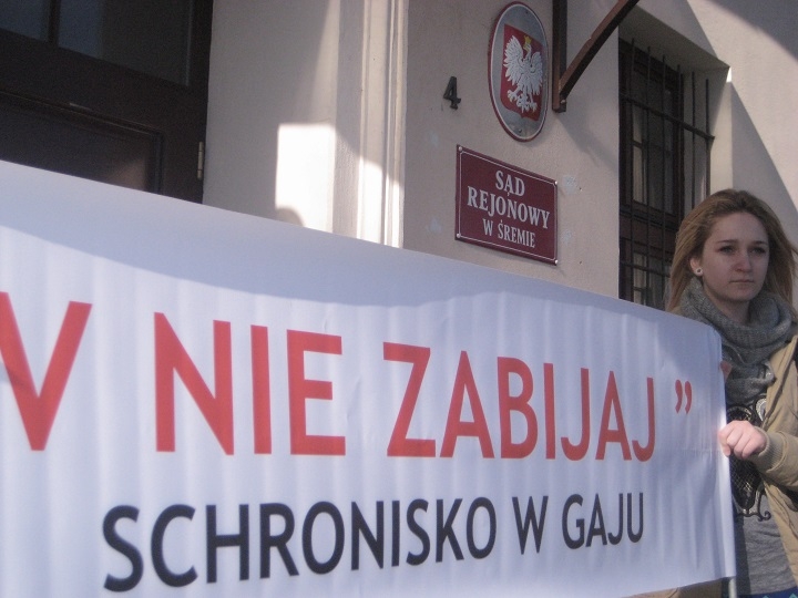 Śrem - proces o psy - Rafał Regulski