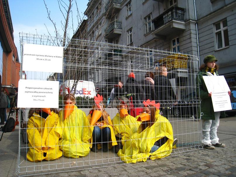 protest klatkowy - Agnieszka Maciejewska