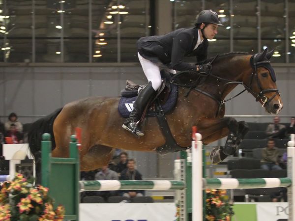 Skoki przez przeszkody - MTP