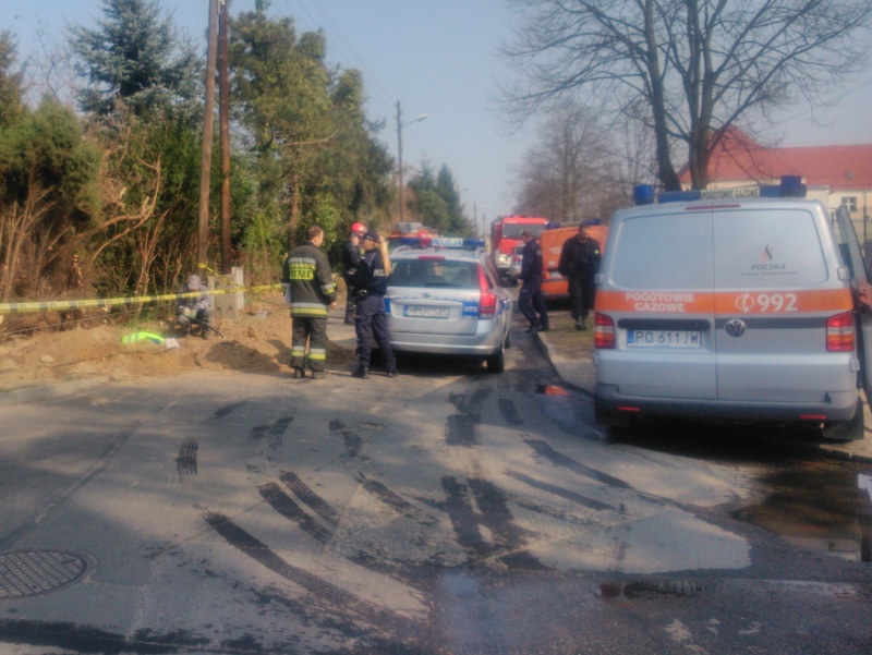 suchy las ewakuacja (2) - Jacek Cerkaski