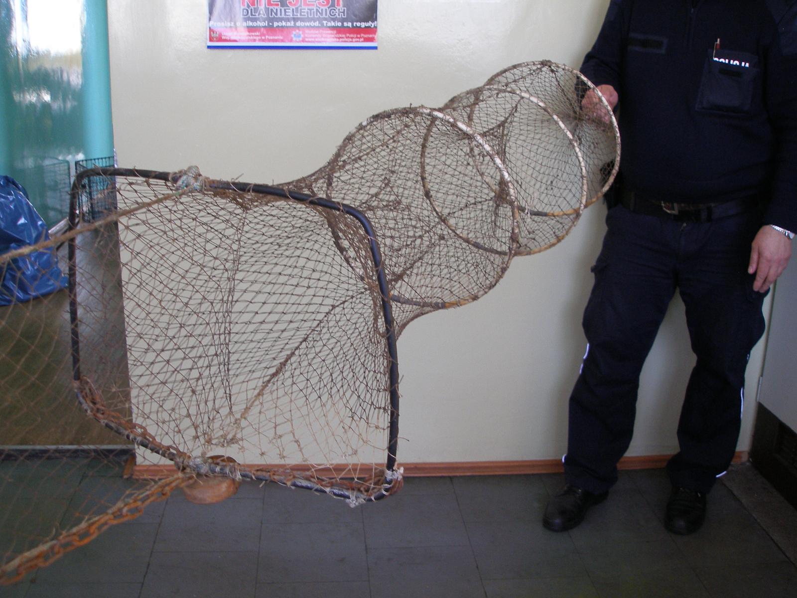 siec klusownicza - Lasy Państwowe Poznań