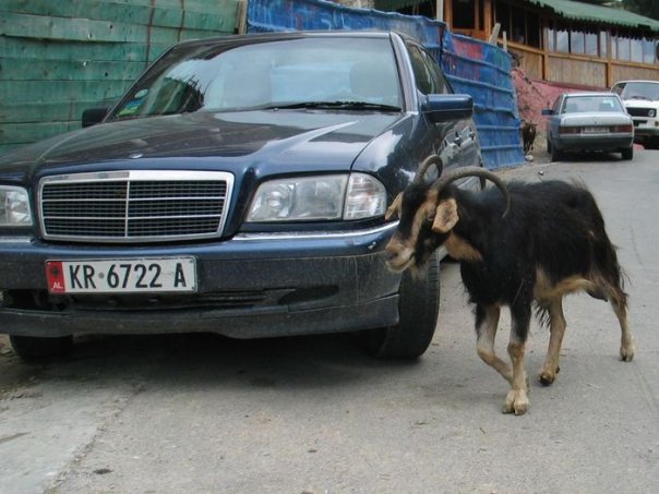 Albania, Kruja - Szymon Mazur