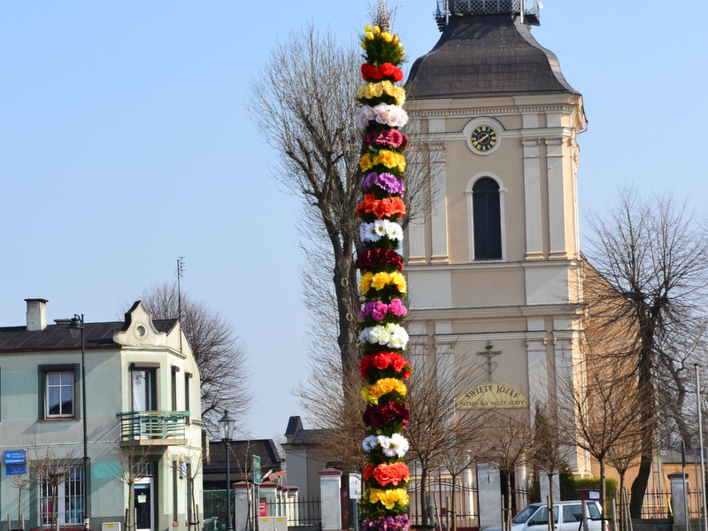 piekna palma koźminek - Danuta Synkiewicz