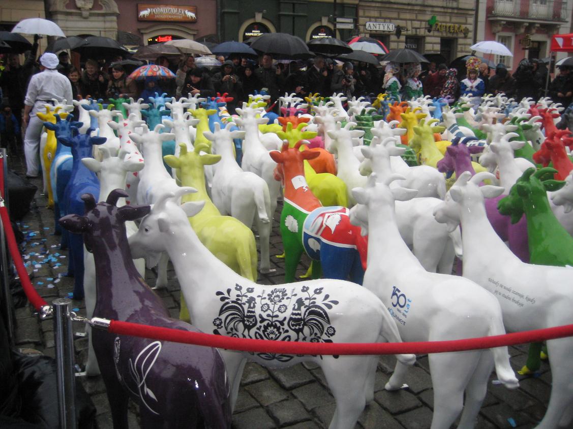 koziołki Stary Rynek (8) - Jacek Butlewski 