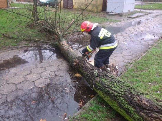 po wichurze - usuwanie drzewa - Straż Pożarna Krotoszyn