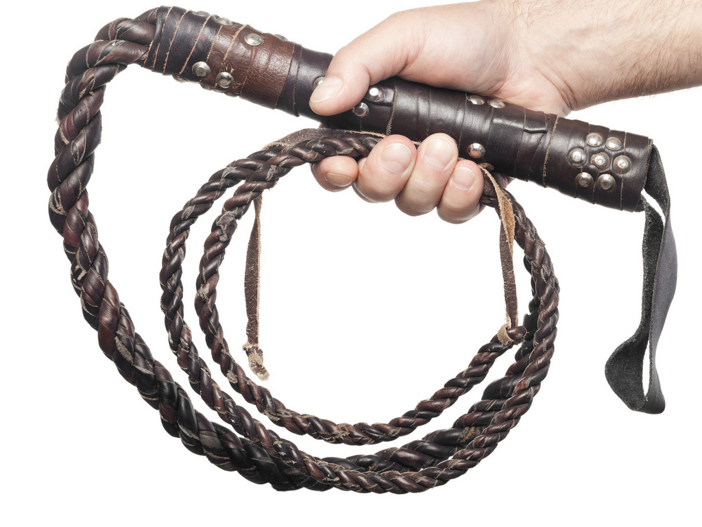 bat pejcz bykowiec bicz - Fotolia.pl