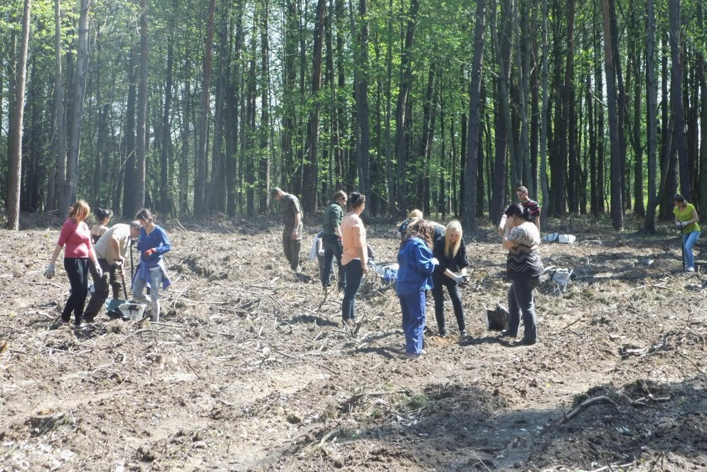 sadzenie lasu na swieto lasu - Powiat Gniezno