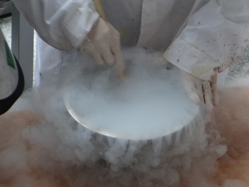 festiwal nauki i sztuki 2015 (3) - Maciej Blatkiewicz