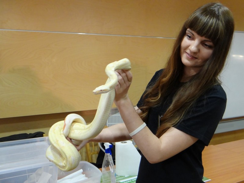 festiwal nauki i sztuki 2015 (10) - Maciej Blatkiewicz