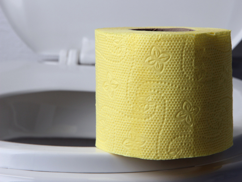 muszla klozetowa papier - Fotolia.pl