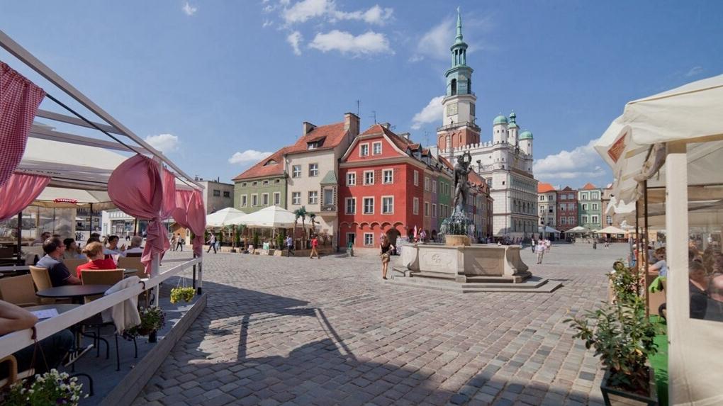stary rynek za pol ceny - Poznań za pół ceny