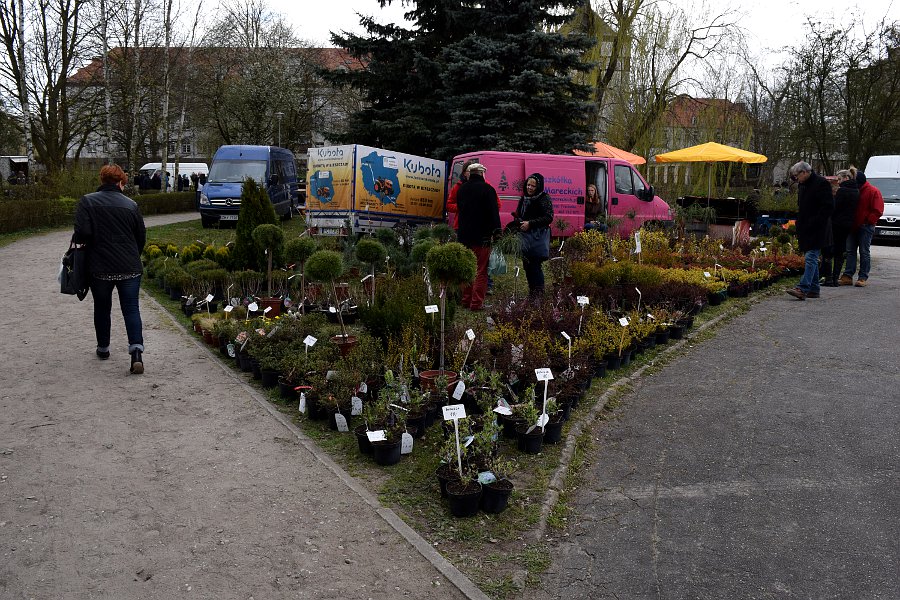 ogrody Piła - Marcin Maziarz