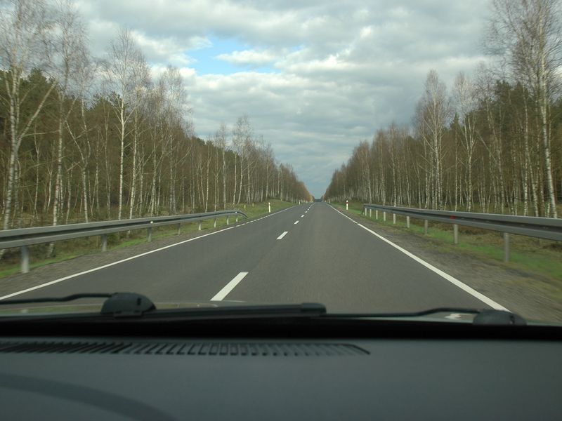 droga w lesie jesien wiosna (1) - Szymon Mazur