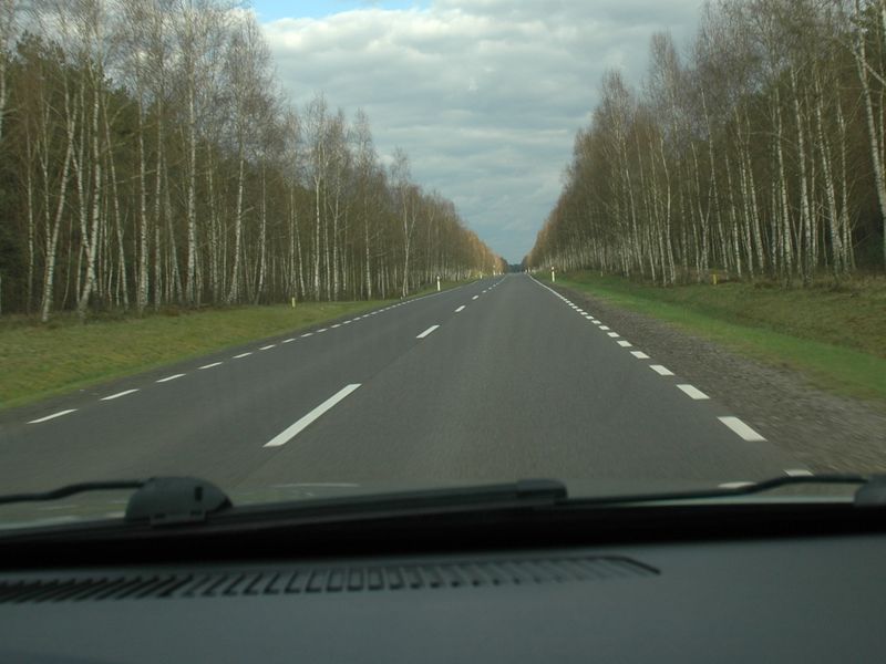 droga w lesie jesien wiosna (2) - Szymon Mazur