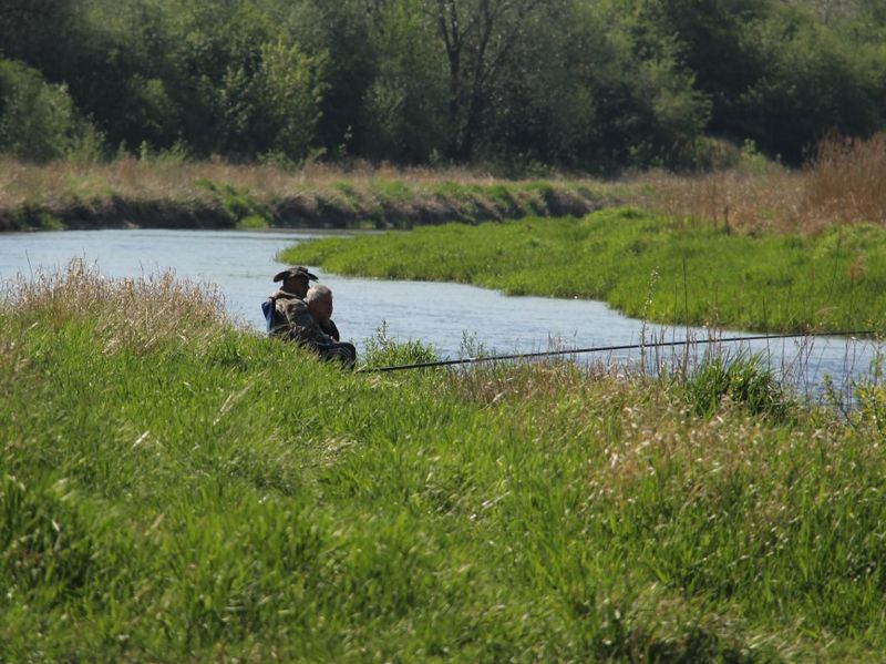 Grzegorz Maciejewski