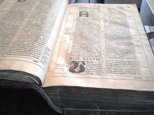 Biblia Wujka - Rafał Regulski