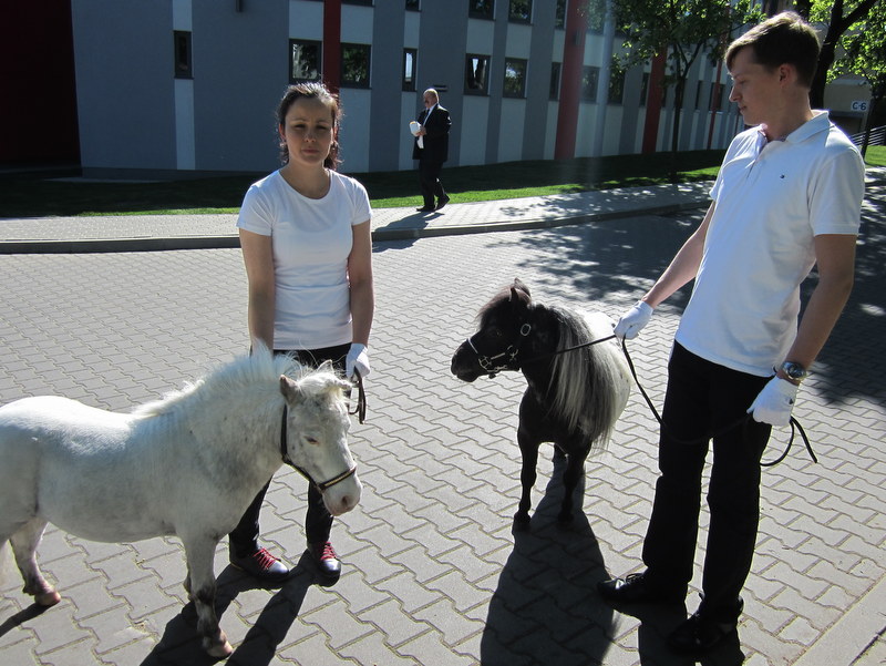 klinika weterynaryjna otwarcie (4) - Jacek Kosiak