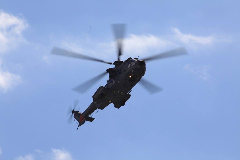 caracal w powidzu (2) - 33. BLTr