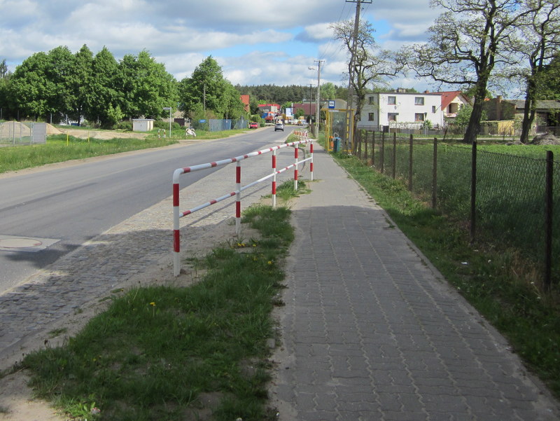 kicin przed szkołą - Maciej Kluczka