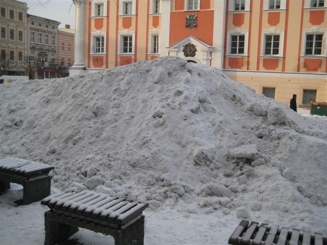 Górka saneczkowa w Lesznie - Jacek Marciniak