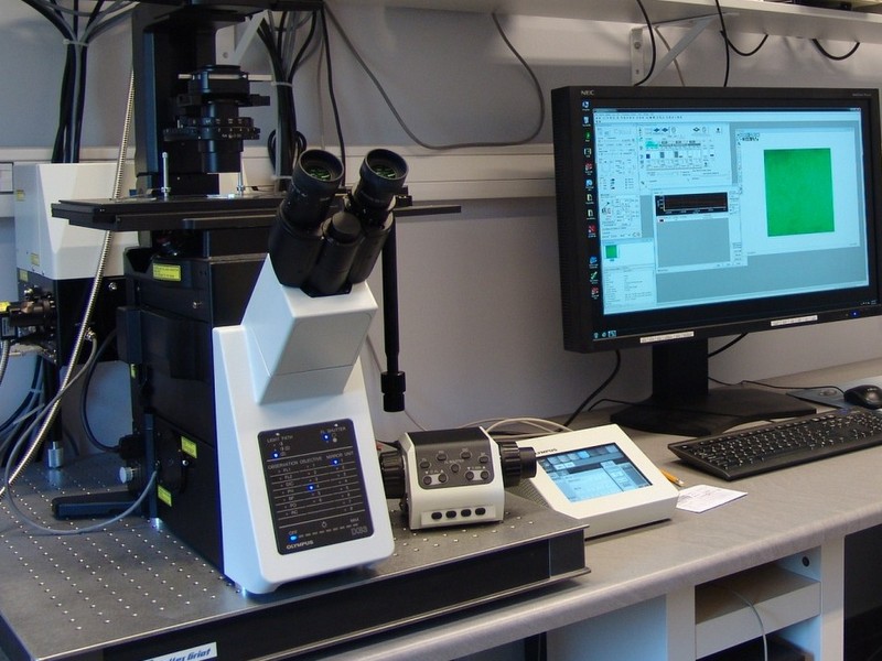 instytut fizyki molekuralnej PAN - IFM PAN