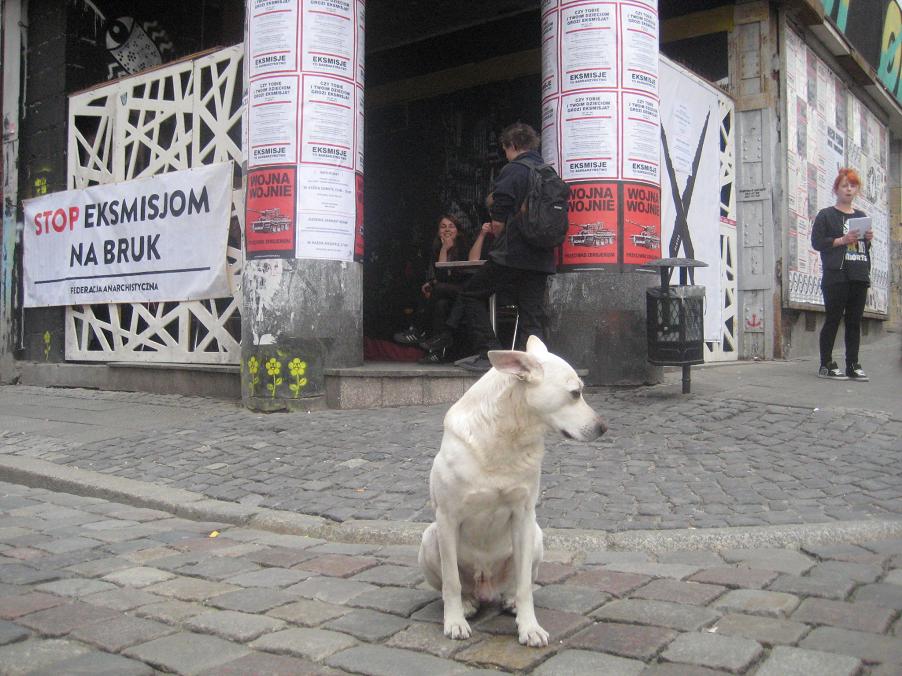 porady prawne skłot odzysk (1) - Jacek Butlewski 