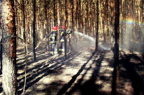 pozar-lasu-gasza-strazacy_Fotor - Straż Pożarna Poznań
