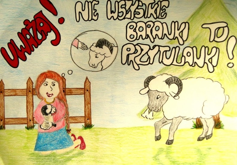 Zwierzaki to nie pluszaki