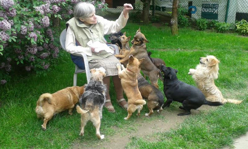 alina kasprowicz zwierzęta i my - Zwierzęta i My