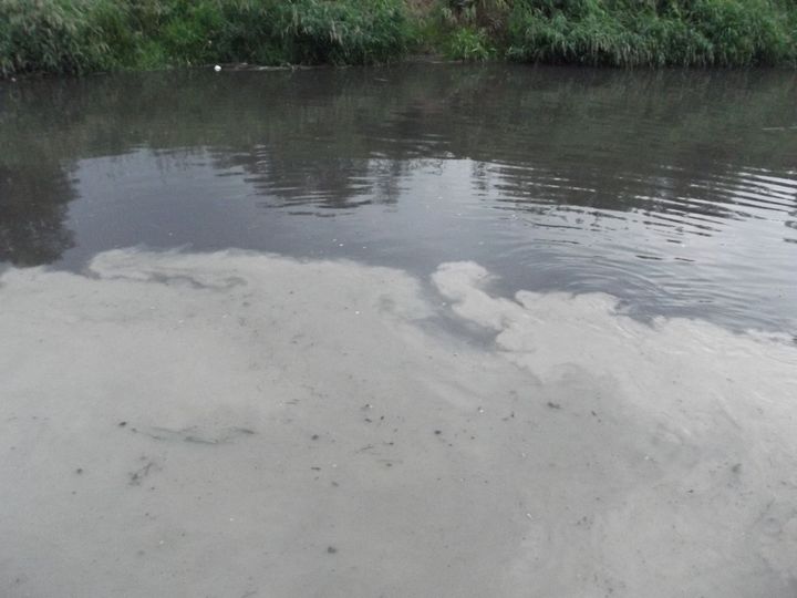 zanieczyszczona cybina mariniarze cd (2) - Inicjatywa Mariniarze