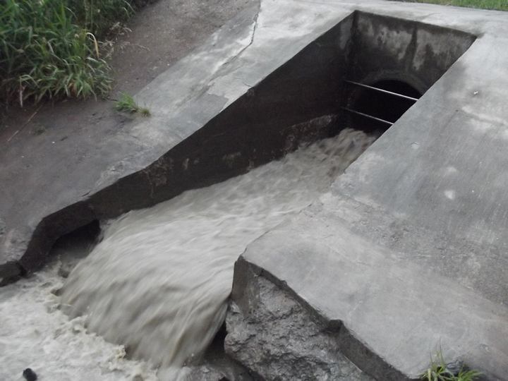 zanieczyszczona cybina mariniarze cd - Inicjatywa Mariniarze