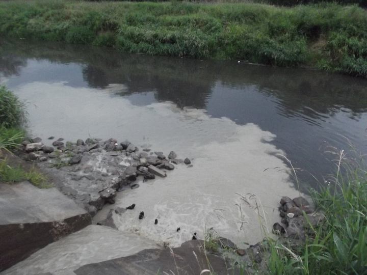 zanieczyszczona cybina mariniarze cd (3) - Inicjatywa Mariniarze