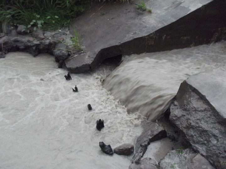 zanieczyszczona cybina mariniarze cd (1) - Inicjatywa Mariniarze