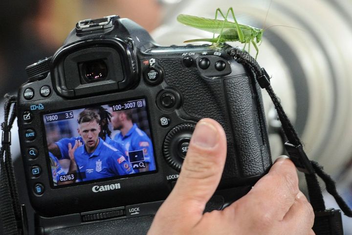 aparat i pasikonik - Przemek Modliński