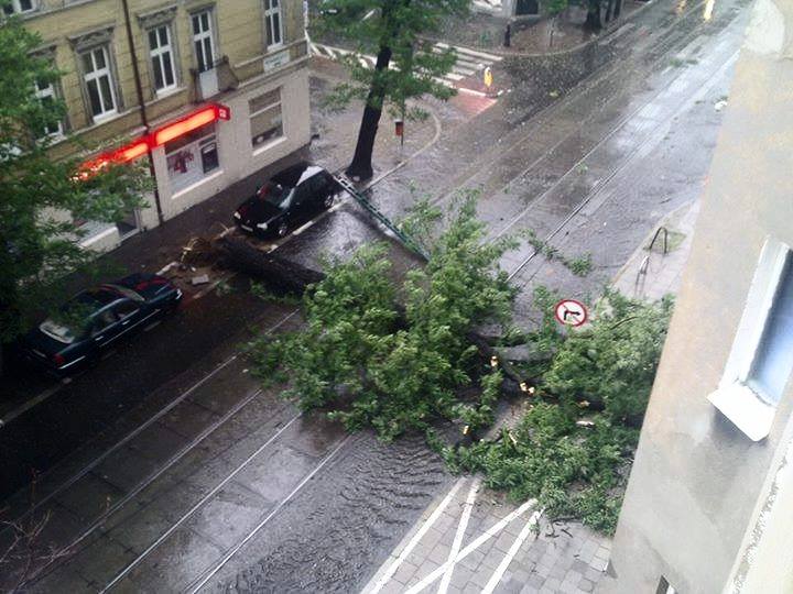 11753276_10153162781093425_2487914324264971145_n - K. Blaszkowska