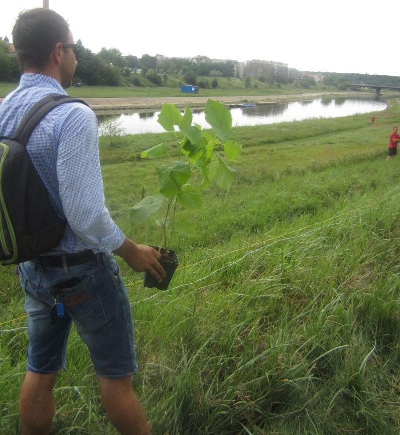 winnice nad wartą4 - Maciej Kluczka