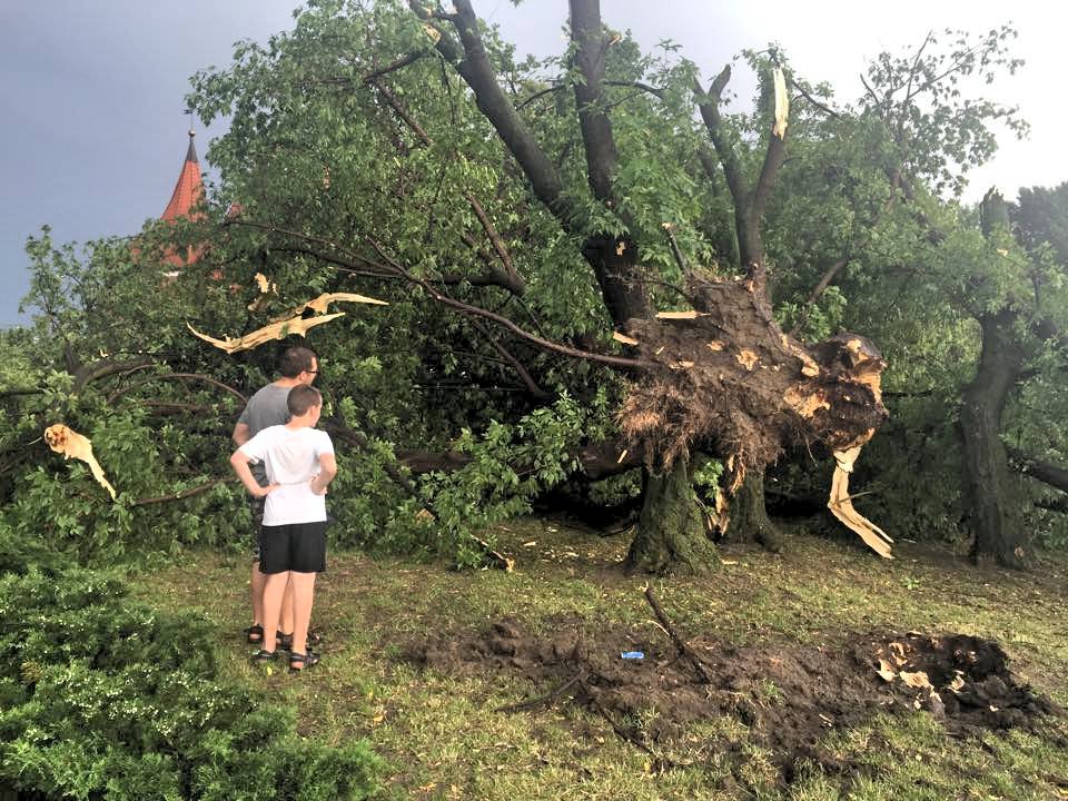 11051785_10153162781193425_7505791793842492753_n - K. Blaszkowska