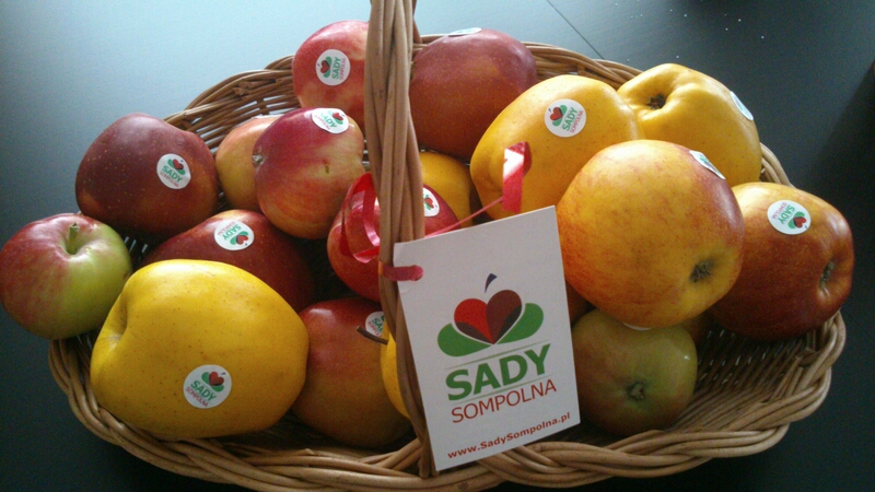 sady sompolna - Iwona Krzyżak