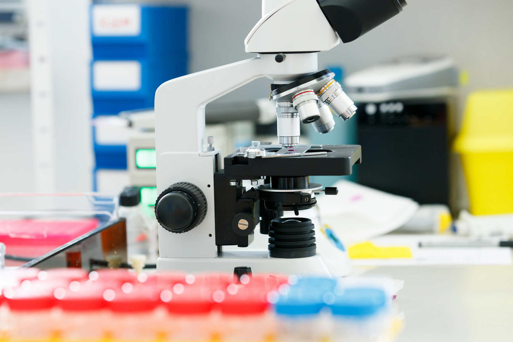 badanie laboratorium mikroskop - Szymon Mazur