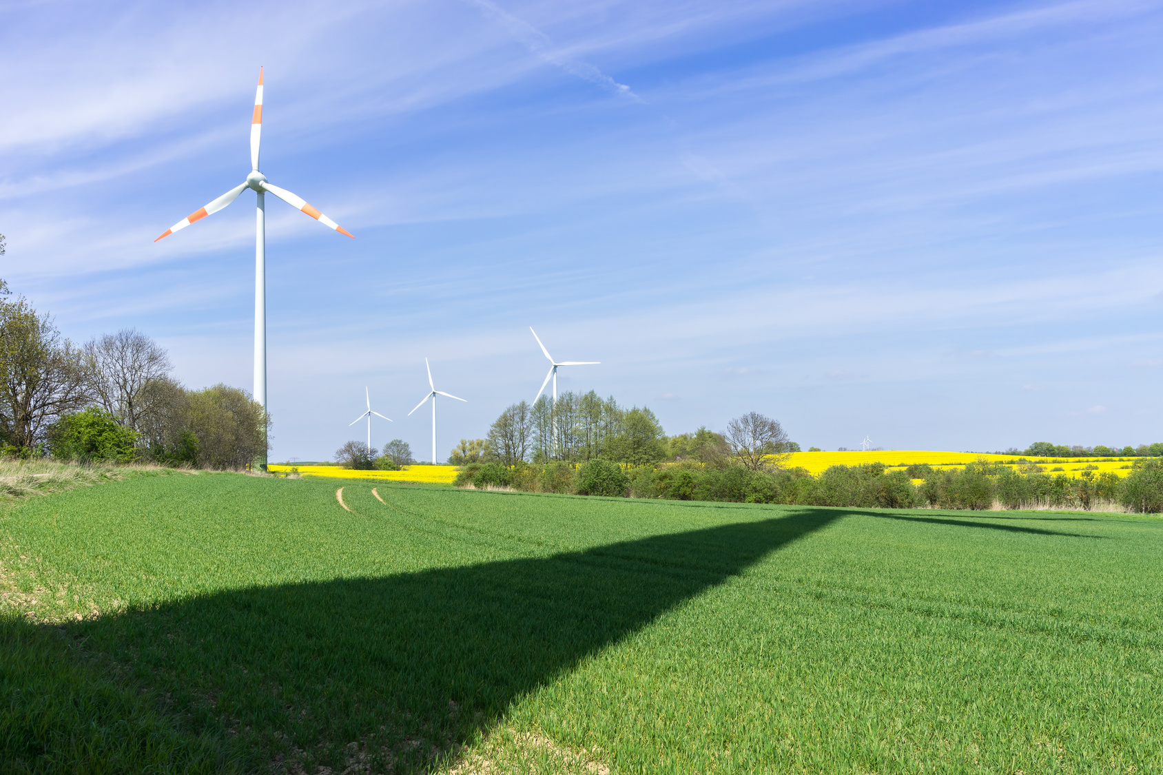 wiatraki elektrownia wiatrowa