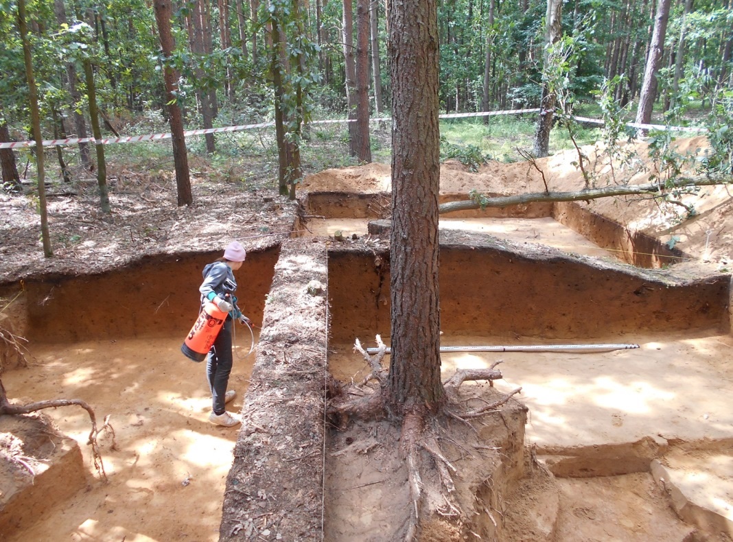 kurhany wykopaliska wągrowiec