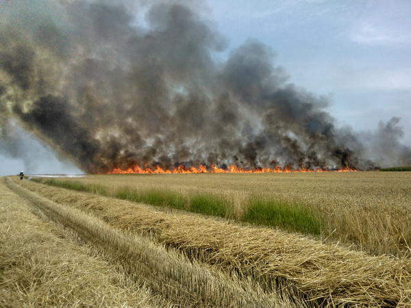 pozar pola pod pleszewem - PSP Pleszew