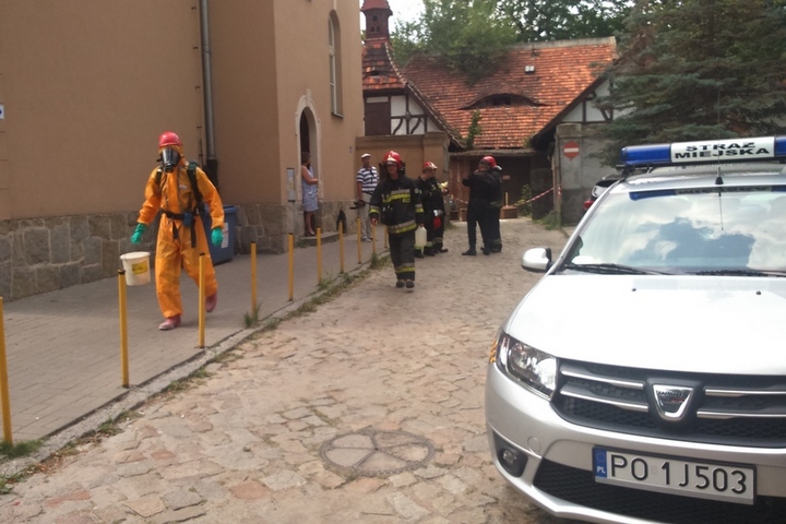 chemikalia odkryte w magazynku - Straż Miejska Miasta Poznania