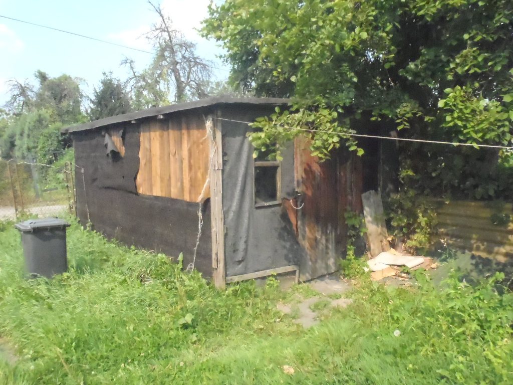 altanka z psem - Straż Miejska Miasta Poznania