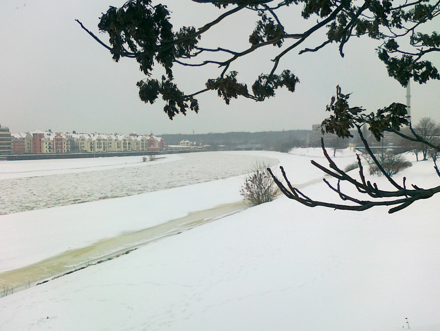 Wojciech Chmielewski