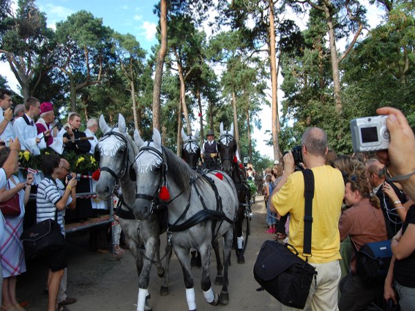 swiecenie zwierzat mikstat - UMiG Mikstat