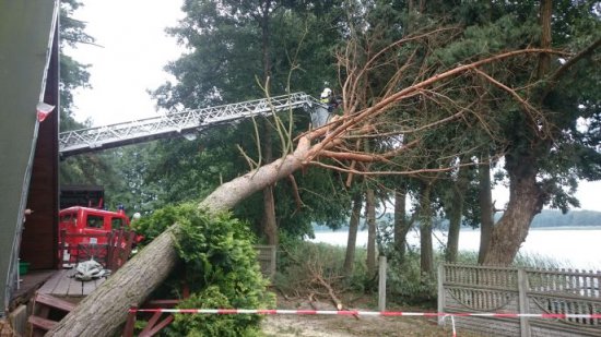 powalone drzewo nawałnica - Straż Pożarna Środa Wlkp.